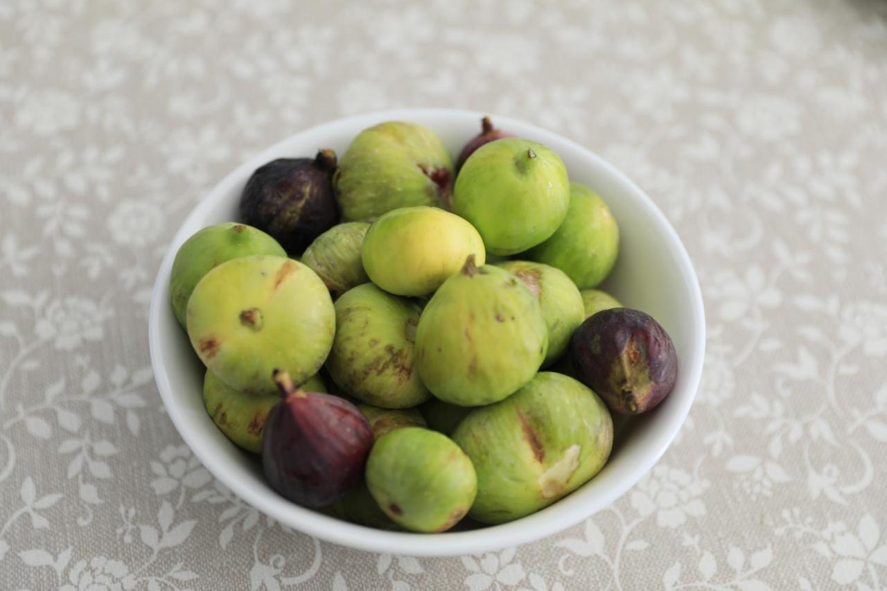 פורטו צ'זראו Meraviglie Del Salento מראה חיצוני תמונה