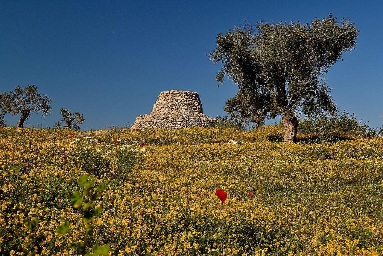 פורטו צ'זראו Meraviglie Del Salento מראה חיצוני תמונה